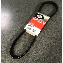 Daudzceliņu siksna Gates 6PK975