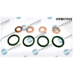 Renault MASTER 3,0DCI sprauslas blīvju komplekts DRM0193S, 16618DB000, 7701058112