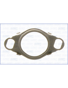 Blīve, Izplūdes gāzu recirkulācijas vārsts Ajusa...