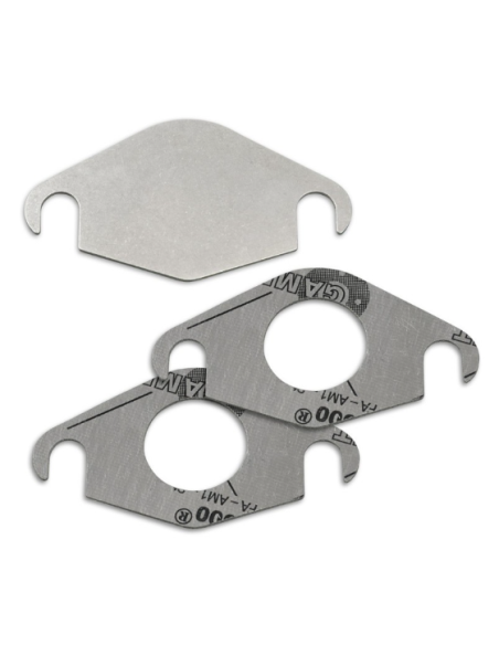 EGR paplāksne ar blīvi BMW MINI N47N N47S1 N57N N57X, N57Z B37 B37B B47