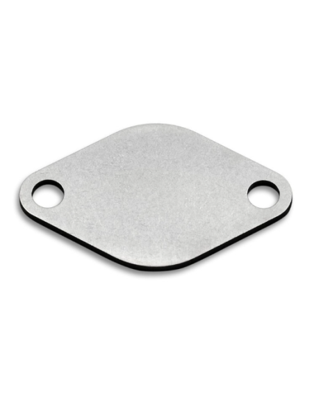 EGR palāksne 3 mm  VW Audi Seat Skoda with 1.9, 2.0, 2.5 R5 TDI engines
