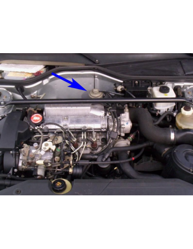 EGR paplāksneRenault Megane Scenic Mitsubishi...