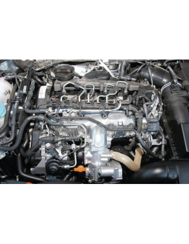 P2015 Rem kompl. VW Audi Seat Skoda 2.0 TDI CR...